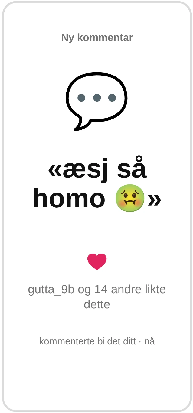 Ny kommentar: «æsj så homo»